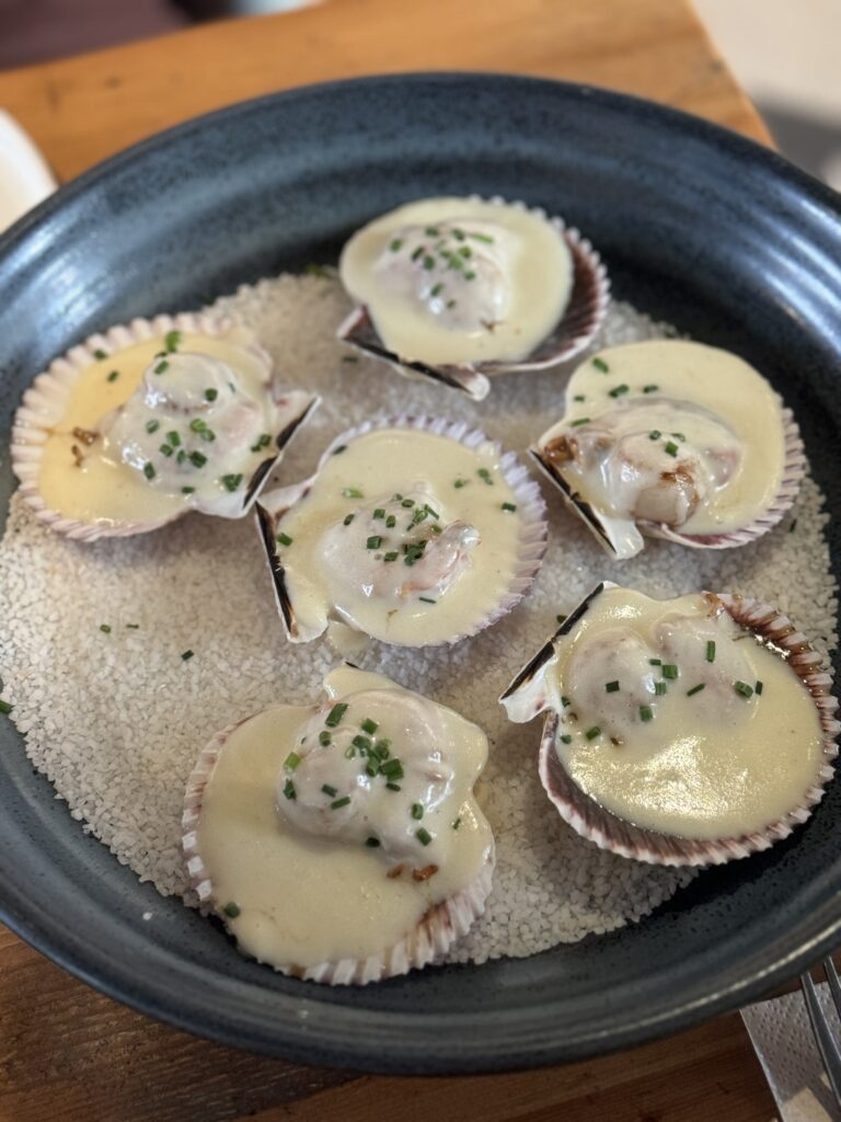 A close-up of Bacao's scallops served in béchamel sauce, delicately nestled in their shells and garnished simply for a refined presentation.